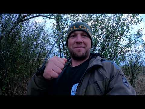 Видео: ЗАКРЫВАЕМ СЕЗОН 100% НА САЗАНА...РЫБАЛКА НА МАКУШАТНИКИ...КАНАЛ "ДГК" х.ЛЕБЕДИ