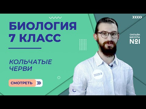Видео: Кольчатые черви. Урок 9. Биология 7 класс
