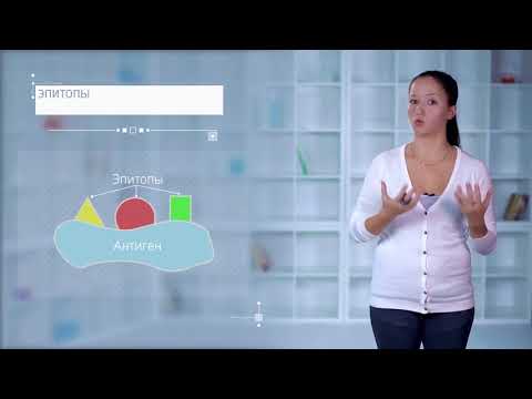 Видео: 1.7. Ответ иммунной системы на вирусную инфекцию