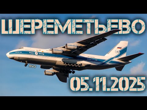 Видео: Споттинг в Шереметьево и красивый закат 05.11.2025