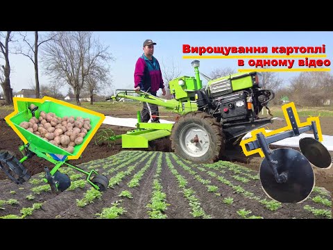 Видео: Выращивание картофеля мотоблоком в одном видео!
