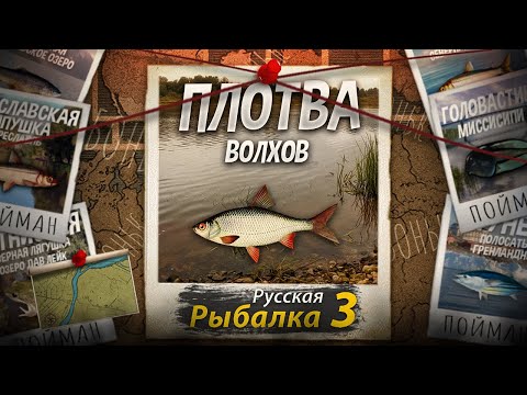 Видео: "Мутант" Плотва. Русская рыбалка 3. Лёгкий мутант для Начинающих.