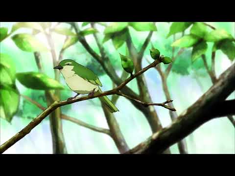 Видео: lizer - птицы улетают на юг (slowed + reverb)