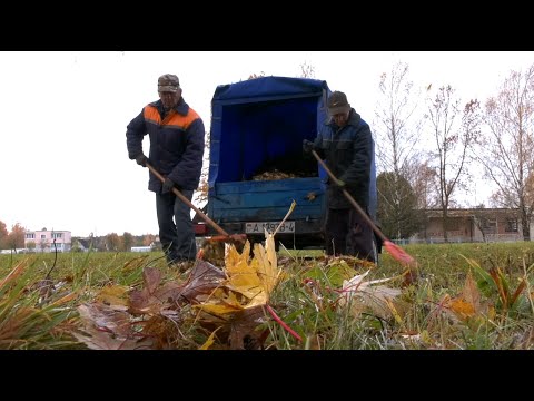 Видео: Гончарский сельсовет проводит активную работу по наведению порядка на земле