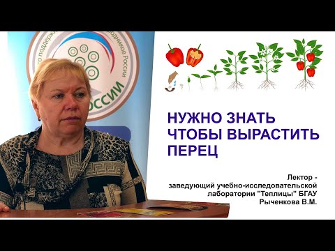 Видео: Как вырастить перец от А до Я. Особенности ухода, посадки и выращивания.