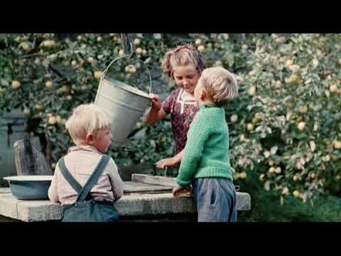 Видео: Детям 60-70-80-х посвящается