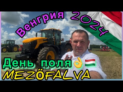 Видео: День поля Венгрия 🇭🇺👌 MEZŐFALVA