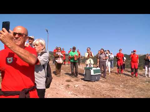 Видео: Повелители на небесната шир