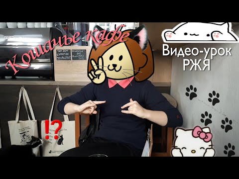 Видео: Видео-урок: В КАФЕ|Русский жестовый язык(ржя)