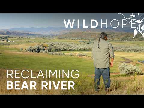 Видео: Стремление народа шошонов вернуть реку Медвежья | WILD HOPE