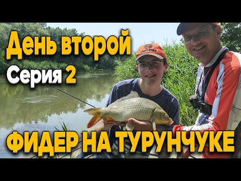 Видео: Дядя Фёдор устал от клёва рыбы! Сазанчики, карпята, караси, тарань и густера - клевало всё!