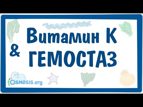 Видео: [физиология] — Роль витамина К в процессе коагуляции