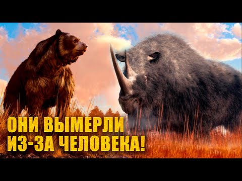 Видео: 15 Красивых ЖИВОТНЫХ вымерших из-за человека
