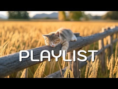 Видео: [Плейлист]🎧Feel So Good Lofi Pop, который ты слышал в кафе🍁🌈 | Эмоциональный поп | Музыка для кафе