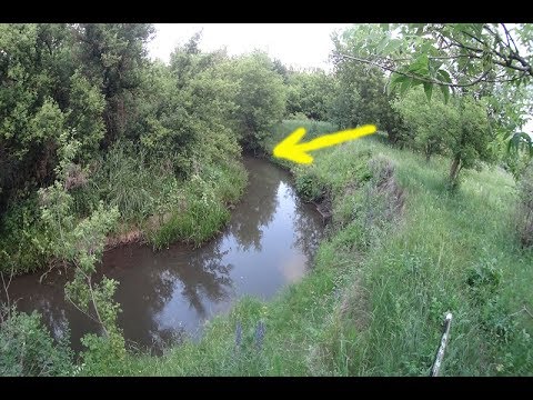 Видео: ЛОВЛЯ КРУПНОЙ ПЛОТВЫ НА ТИХОЙ ЗАРОСШЕЙ РЕКЕ!!!