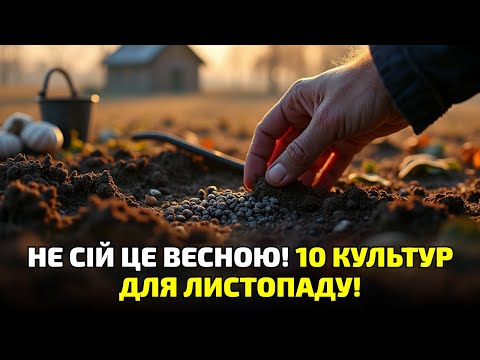 Видео: Не сій навесні! 10 культур, які треба посадити вже в листопаді, поки не пізно!