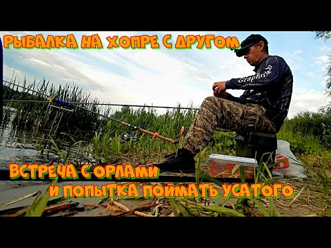 Видео: Рыбалка на Хопре с другом. Встреча с орлами и попытка поймать усатого.