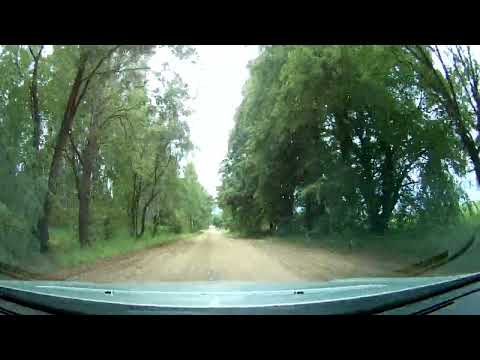 Видео: д.Зори, д. Ямки Чериковского района, Могилевской обл. август 2022г