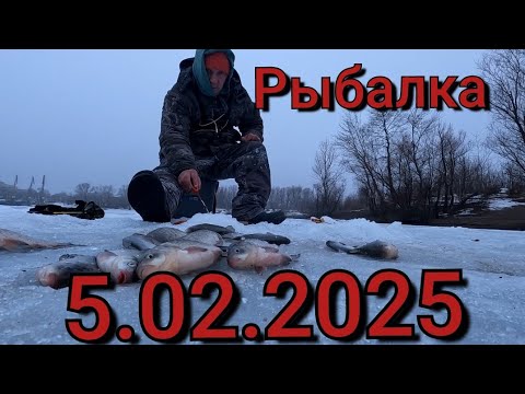 Видео: Зимняя Рыбалка на поплавок 5 февраля 2025: Караси, Которые Топят Поплавок! Манка против Карася