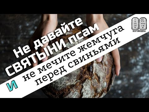 Видео: Не давайте святыни псам и не мечите бисер перед свиньями. Толкование Максим Каскун