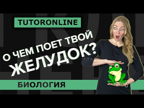 Видео: Биология | О чем поёт твой желудок?