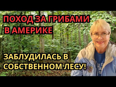 Видео: Поход за грибами в Америке. Заблудилась в собственном лесу! Жизнь в США.