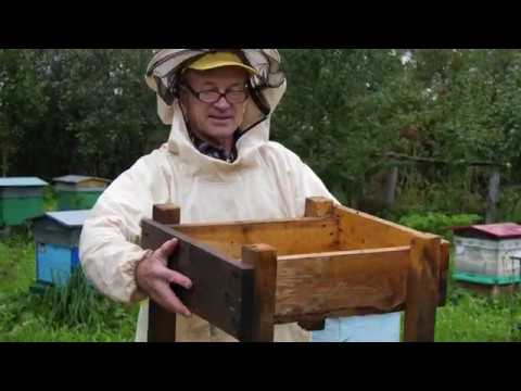 Видео: ПЧЕЛОВОДСТВО №22: Осенняя ревизия девочек-пчелок