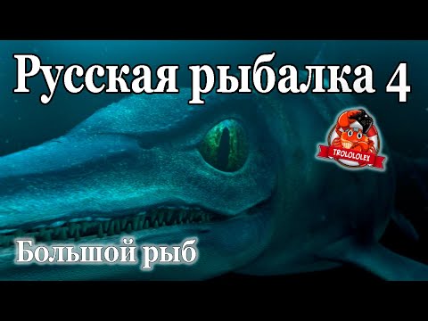 Видео: Русская рыбалка 4 Норвежское море  РАЗМОТ!