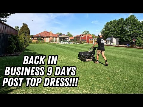 Видео: ПЕРВАЯ СТРИЖКА ПОСЛЕ РЕМОНТА ГРУНТА // все советы и рекомендации, которые помогут вашему газону «...