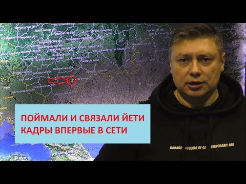 Видео: Поймали снежного человека в Саратовской обл. Съёмка Вадима Басова.