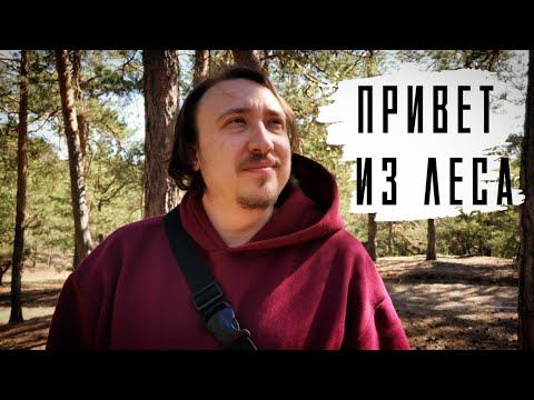 Видео: АСМР / Всем привет из леса. Пара новостей и планы на лето. / ASMR