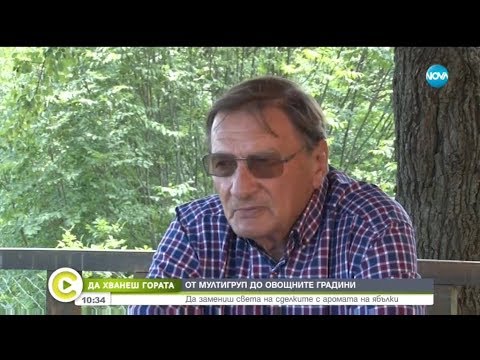 Видео: „Да хванеш гората”: От „Мултигруп” до овощните градини