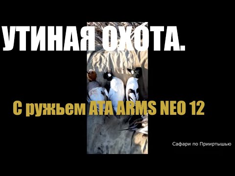 Видео: На весенней охоте с АТА НЕО 12