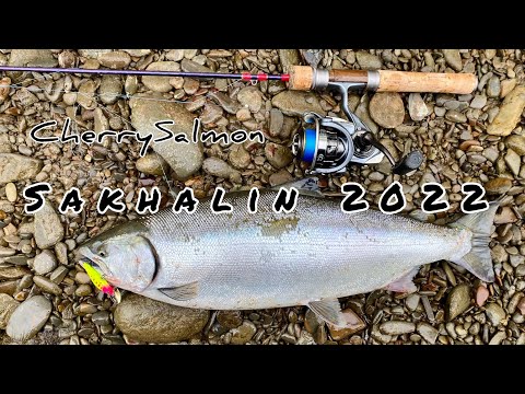 Видео: Рыбалка на Сахалине 2022, Сима на спиннинг на горной речке.