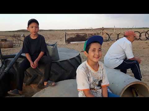 Видео: Жазғы ауылдың кешінде