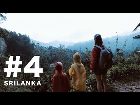 Видео: #4. РАЗБИЛ ДРОН В ДЖУНГЛЯХ! Самый эпичный день на Шри-Ланке. Элла.