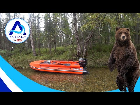 Видео: Рыбалка на таёжной речке. Медведица с тремя медвежатами пришла к лагерю. Ловля хариуса.