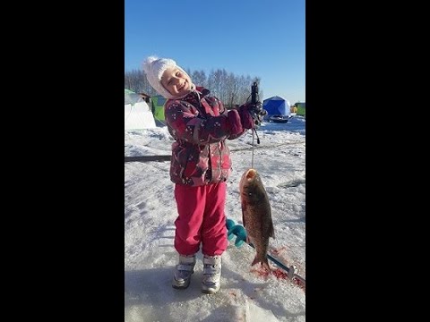 Видео: Рыбалка на толстолобика зимой  2023