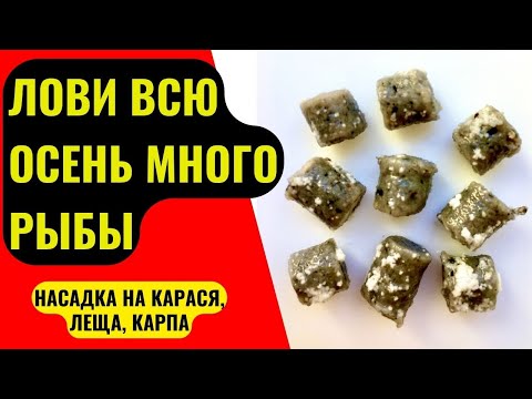 Видео: Насадка для рыбалки на КАРАСЯ, ЛЕЩА, КАРПА, которая работает даже в холодной воде.