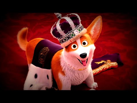 Видео: КОРОЛЕВСКИЙ КОРГИ | СТРАСТЬ ЕЛИЗАВЕТЫ 2