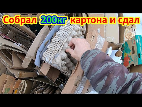 Видео: Сколько можно заработать на картоне