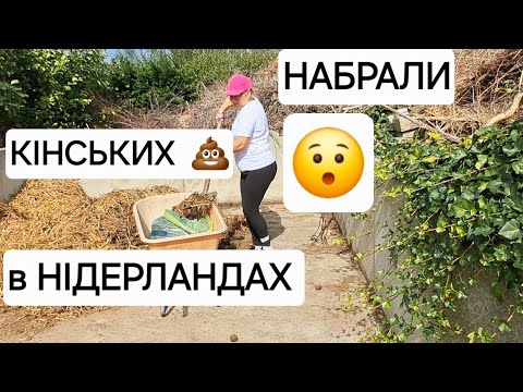 Видео: НІДЕРЛАНДИ 🇳🇱 Набрали кінських 💩 Робимо на дачі грядки #garden #мояробота 