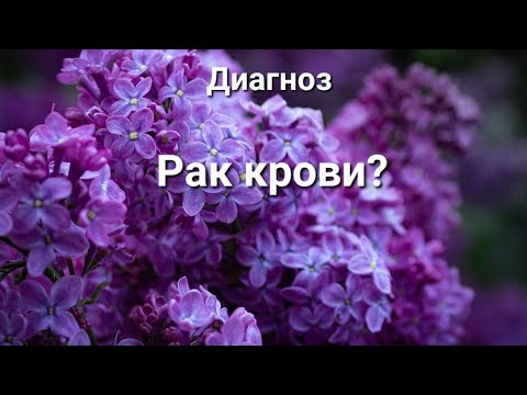 Видео: Моя жизнь до и после/Диагноз Рак крови?