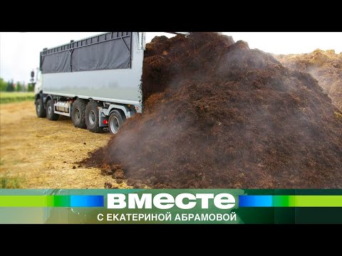 Видео: Миллиардные штрафы за навоз. Почему за отходы животных надо платить налог?