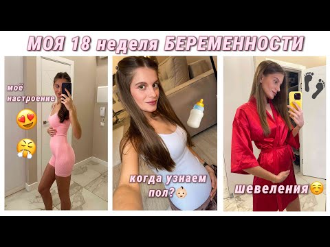 Видео: МОЯ 18 НЕДЕЛЯ БЕРЕМЕННОСТИ: первые шевеления, моё самочувствие, когда узнаем пол?
