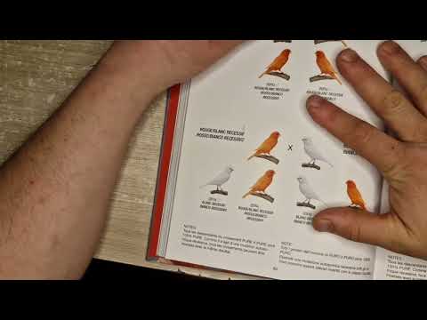 Видео: Соволга жавоп @FayzulloGaziyev