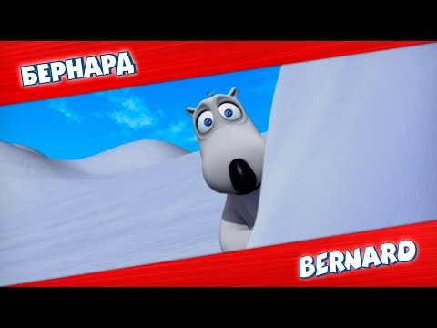 Видео: БЕРНАРД: На Северном полюсе и многое другое | Подборка серий