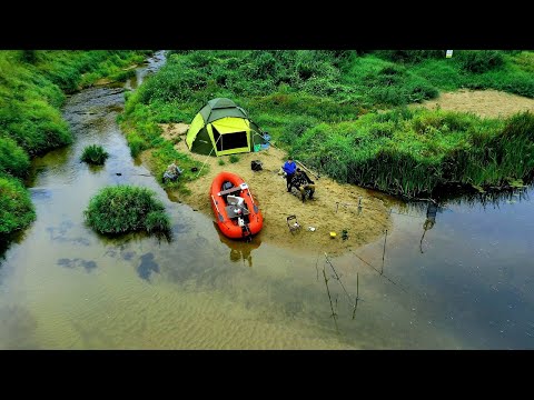 Видео: Осень на реке с НОЧЁВКАМИ, отменный клёв, ДОНКИ, спиннинг. ВИМБА, ЩУКА. Готовим УХУ на костре.