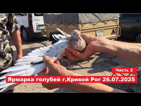 Видео: Ярмарка голубей и декоративных птиц г. Кривой Рог 26.07.2025. Часть 2