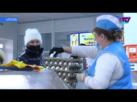 Видео: 17.11.22. Новую птицефабрику открыли в селе Аралагаш Аккайынского района